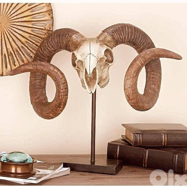 rasine skull for sale, look like real one, 4 kg or more as weight 0