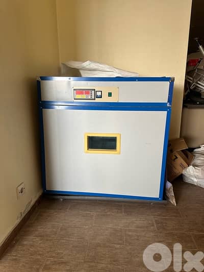 فقاصة البيض