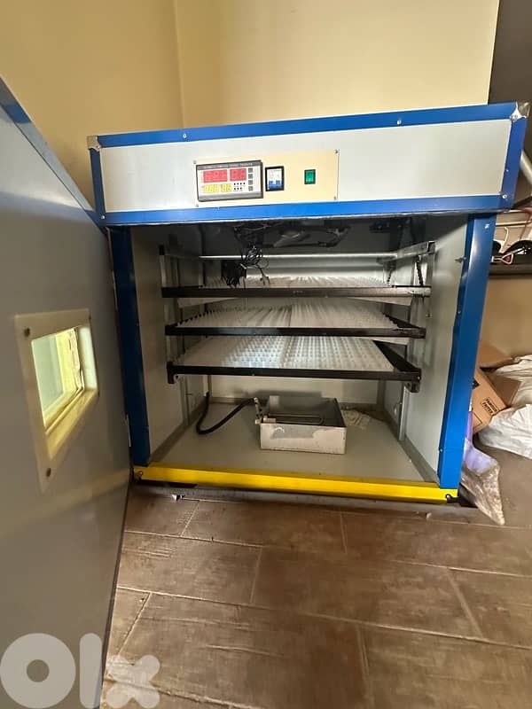 فقاصة البيض 1