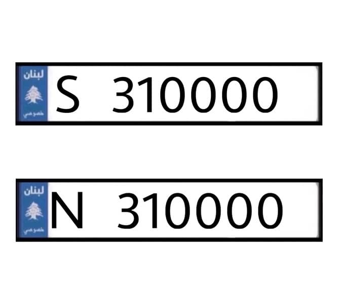S   310000   &   N   310000 0