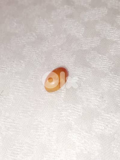 كهرمان بلطيقي حر