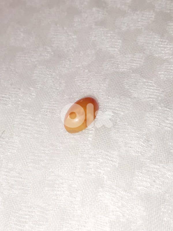 كهرمان بلطيقي حر 0