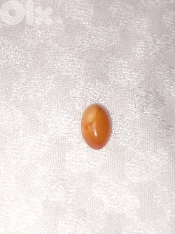 كهرمان بلطيقي حر 1