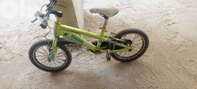 الشوف الناعمه