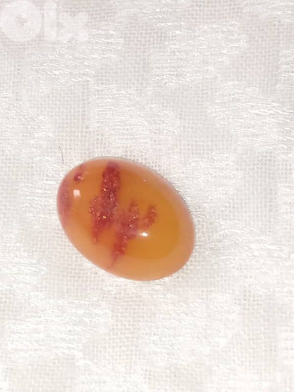 كهرمان حر بلطيقي مزعفر بولندي 0