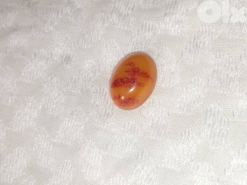 كهرمان حر بلطيقي مزعفر بولندي 1