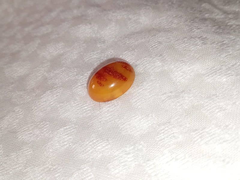 كهرمان حر بلطيقي مزعفر بولندي 2