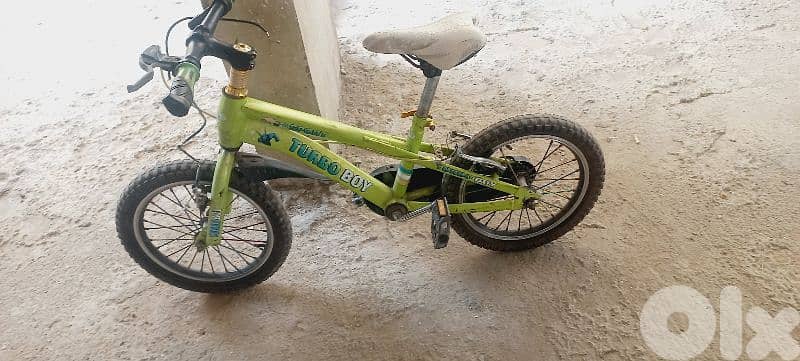 الشوف الناعمه 0