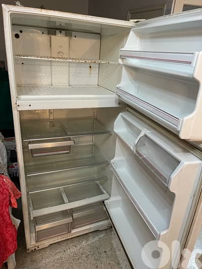 leonard fridge for sale