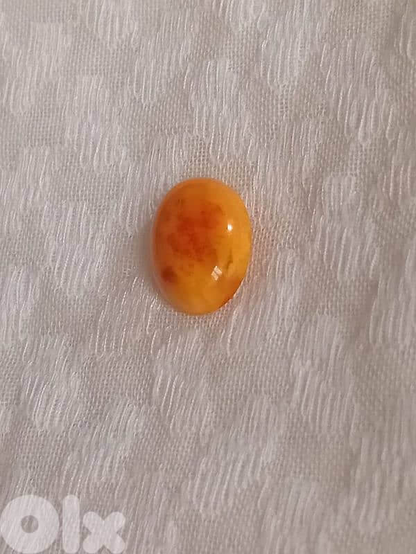 كهرمان  بلطيقي بولوني حر 1