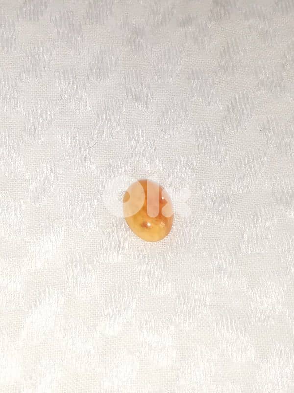 كهرمان  بلطيقي بولوني حر 2