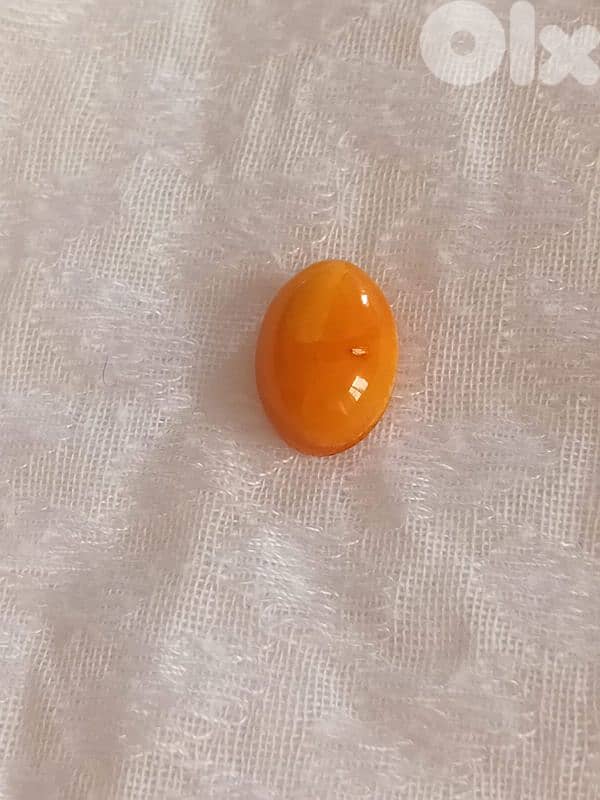 كهرمان بولوني بلطيقي حر 1