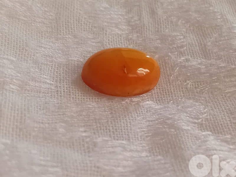 كهرمان بولوني بلطيقي حر 2