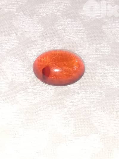 كهرمان روسي بلطيقي حر