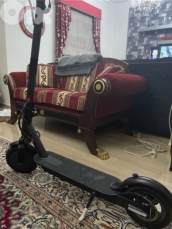 electric Scooter 0