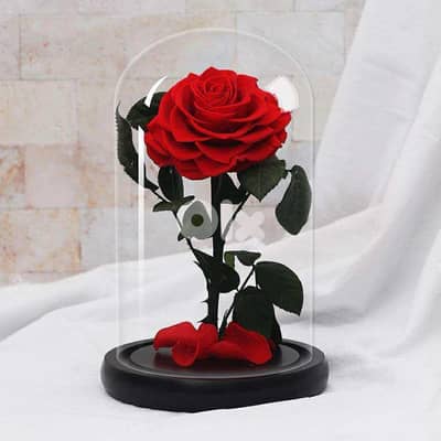 Everlasting Eternal Red rose in Glass Dome