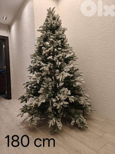 بيع سعر الشجره سعر  100 دولار قابله للتفاوض لل