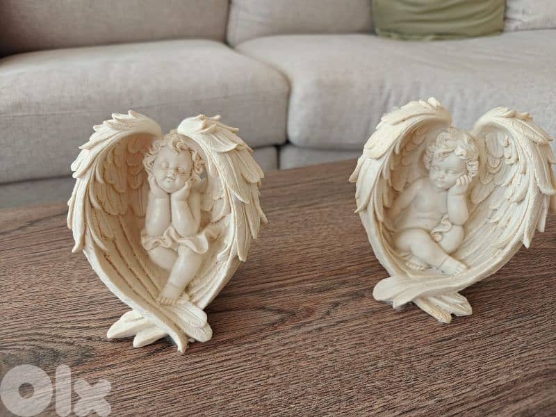 بيع سعر الشجره سعر  100 دولار قابله للتفاوض لل 4