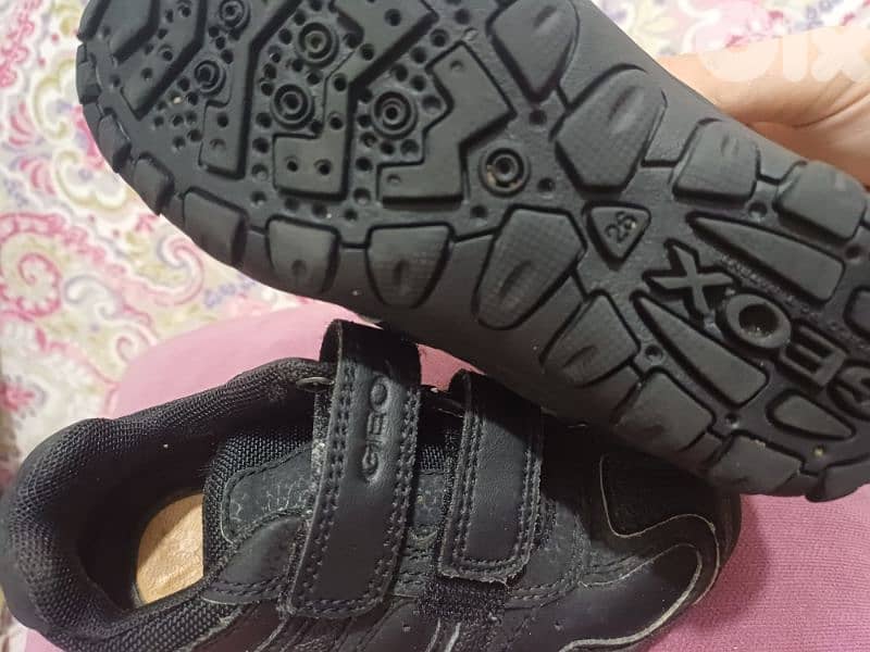 geox shoes 1