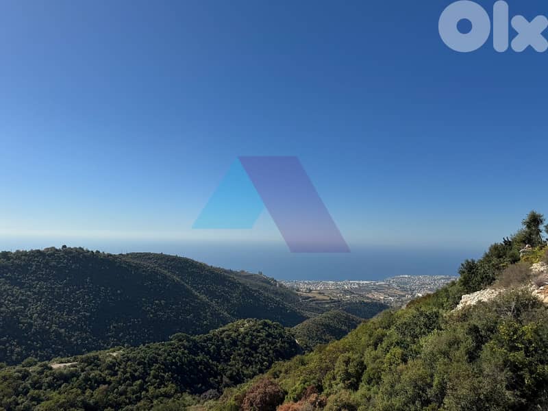 900m2 Catchy Land+Sea/mountain View 4Sale in Breij-أرض للبيع في البريج 0