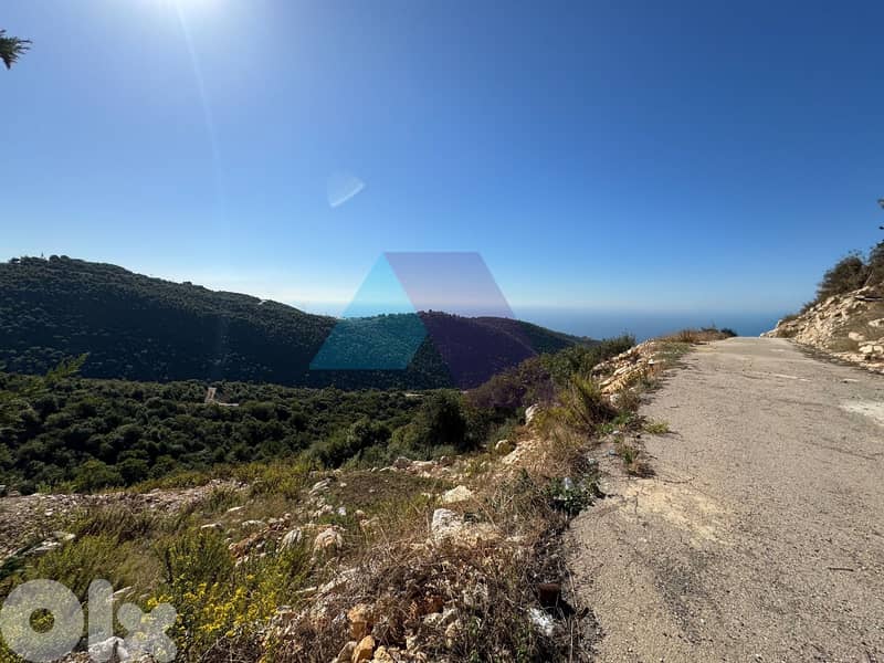 900m2 Catchy Land+Sea/mountain View 4Sale in Breij-أرض للبيع في البريج 1