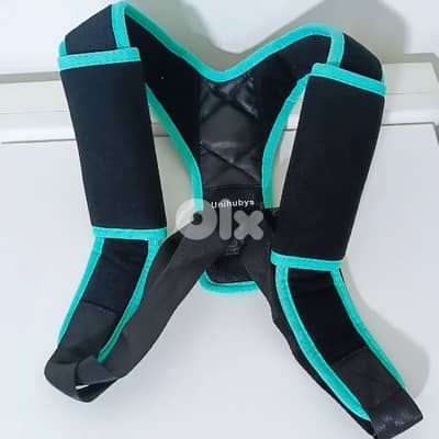 Posture Corrector