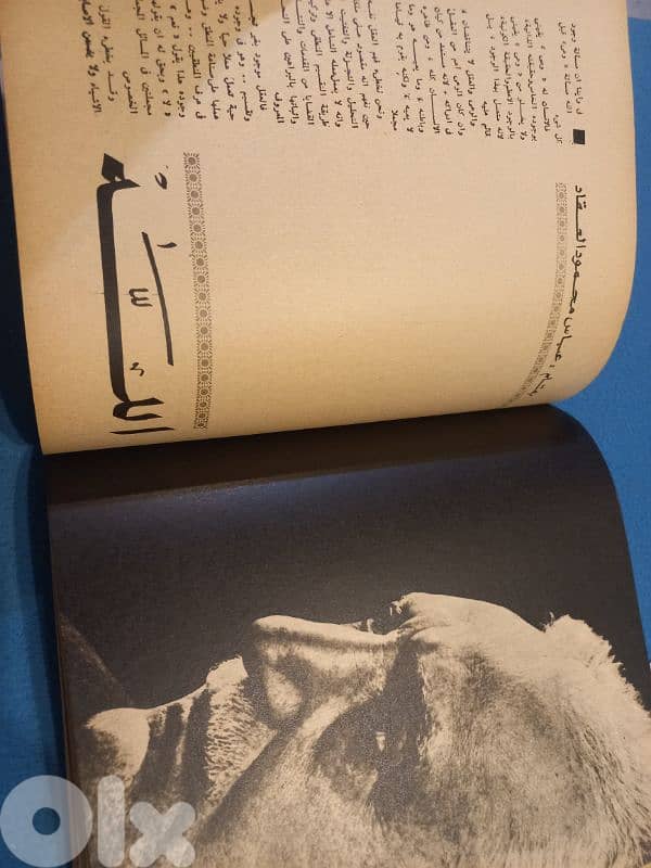 الهلال الماسي 10