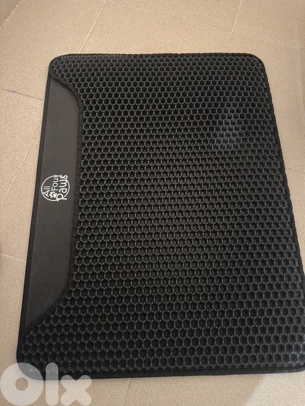 himalayan kitten for sale 71458969 4