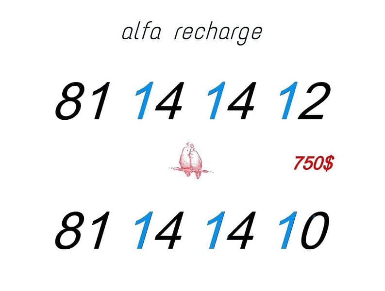 for info whatsapp 70/194252 15