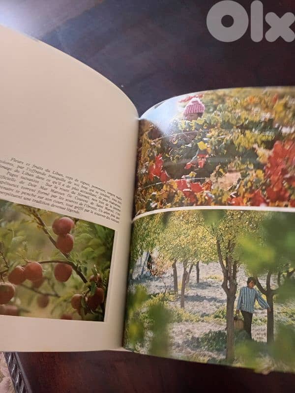 كتاب مهم عن لبنان ايام العز 8