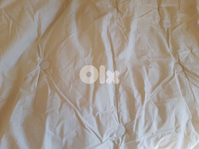 Descamps couette duvet (made in France) - Not Negotiable 2