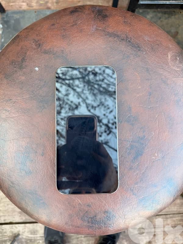 Iphone 13 Pro Max - 256 gb 3