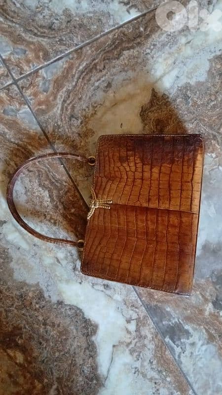 جذدان جلد طبيعي مميز 0