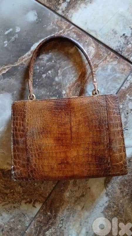 جذدان جلد طبيعي مميز 1