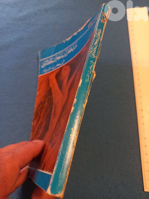 مذكرات سجين كتائبي 1