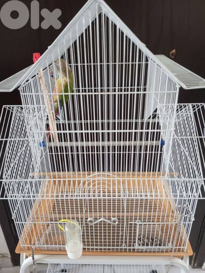 قفص كبير و ستاند