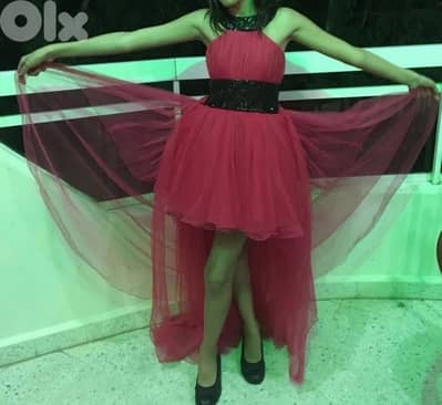 pink butterfly dress