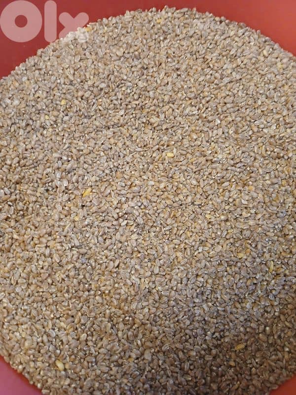 عدس وبرغل اسمر بلدي عضوي 0