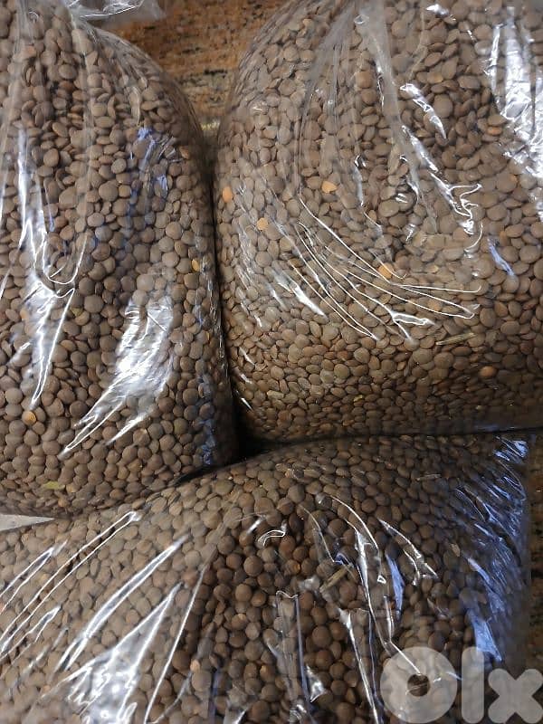 عدس وبرغل اسمر بلدي عضوي 2