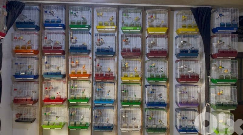 كنرات غولستر و أغات و موزيك وبلدي ومناديق 0