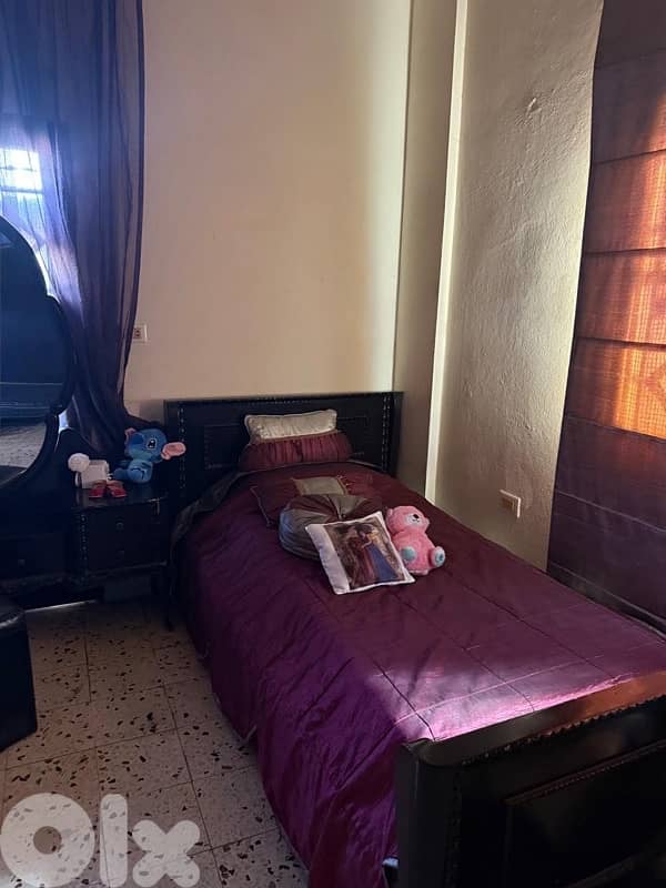 المصيلح طريق عام النبطية 2