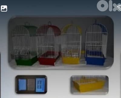 قفاص عرض جميع الالوان ب٦ دولار واتس اب 70062471