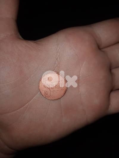 5 bani رومانية     0.05leo