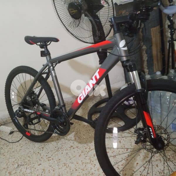 بكسلة للبيع 0