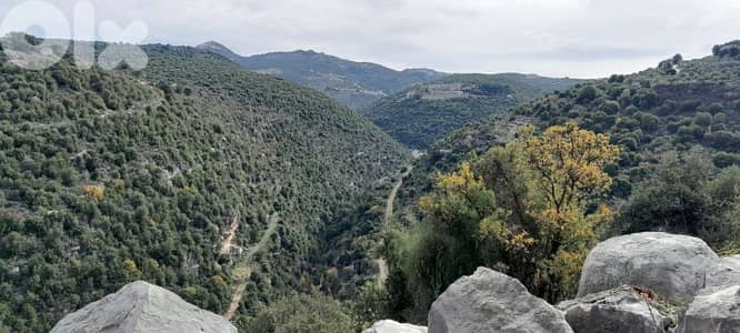 land for sale in batroun asia أرض للبيع في البترون آسيا