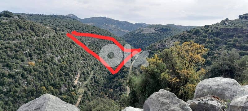 land for sale in batroun asia أرض للبيع في البترون آسيا 1