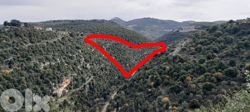 land for sale in batroun asia أرض للبيع في البترون آسيا 2