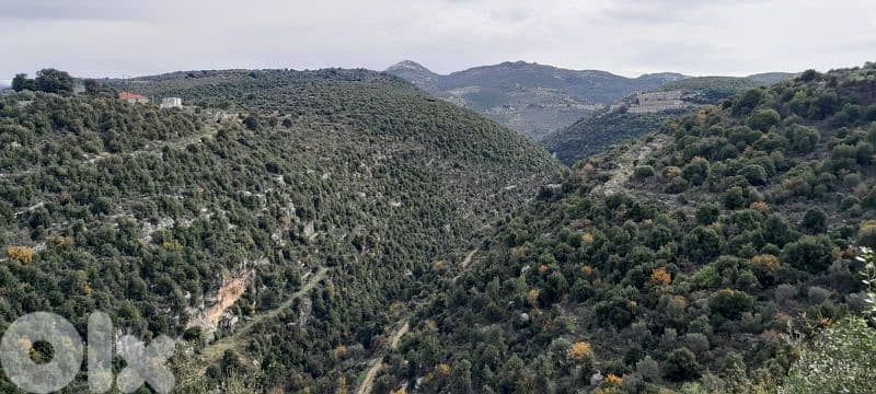 land for sale in batroun asia أرض للبيع في البترون آسيا 3