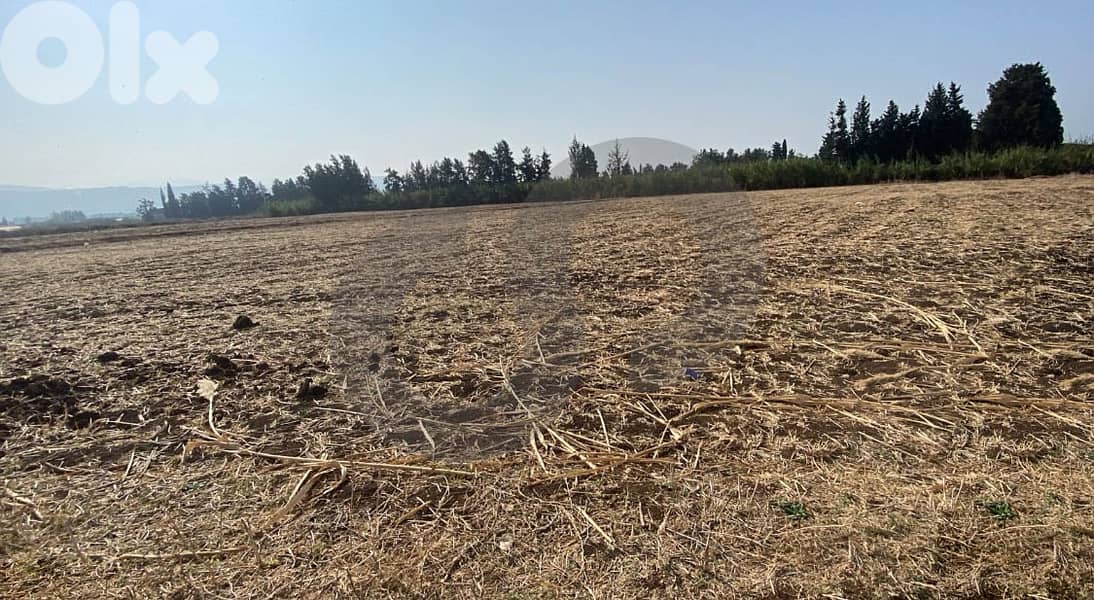 للبيع أرض زراعية في حلبا، مساحة 10,000 م²، موقع استراتيجي REF#SM128316 1