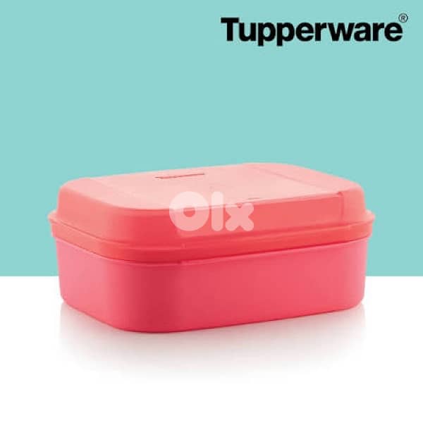 Tupperware lunchboxes and water bottles 2